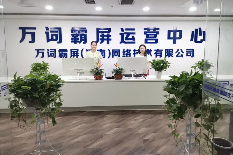 洪湖网站建设：为当地品牌开辟数字营销新天地